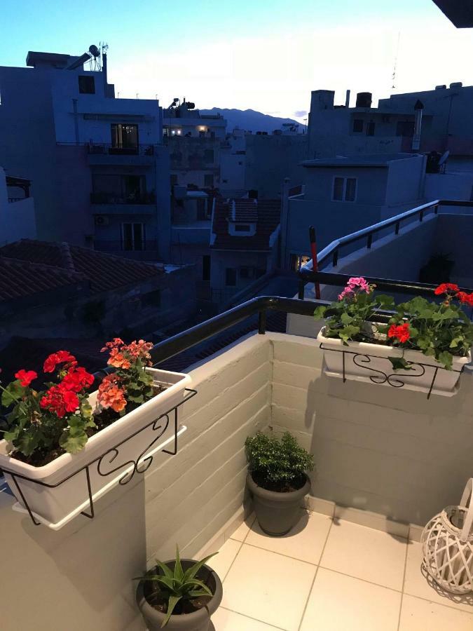 Cozy Apartamento *